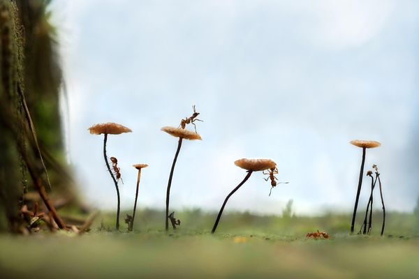 Właściwości kruszyw naturalnych w projektowaniu budynków
